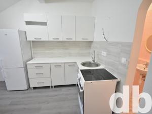 Pronájem bytu 1+1, Karlovy Vary, Svahová, 31 m2