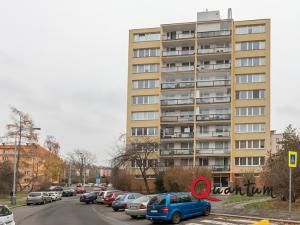 Pronájem bytu 2+kk, Praha - Žižkov, Křivá, 60 m2