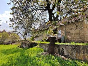 Prodej pozemku pro bydlení, Pyšely, Na Košíku, 1872 m2