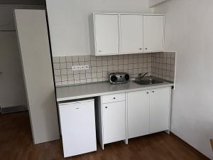 Pronájem bytu 1+kk, Kolín - Kolín II, Funkeho, 17 m2