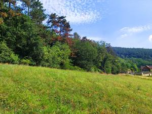 Prodej rodinného domu, Králův Dvůr, Akátová, 324 m2