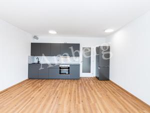 Pronájem bytu 1+kk, Praha - Žižkov, Olgy Havlové, 34 m2