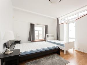 Pronájem bytu 5+kk, Praha - Nové Město, Dřevná, 248 m2