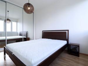 Pronájem bytu 2+kk, Praha - Vysočany, Freyova, 45 m2