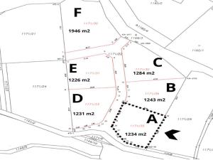 Prodej pozemku pro bydlení, Buš, 1234 m2