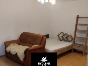 Pronájem bytu 1+kk, Teplice, Alejní, 30 m2