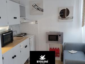 Pronájem bytu 1+kk, Teplice, Alejní, 30 m2