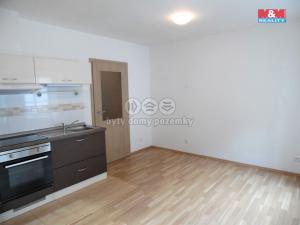 Pronájem bytu 1+kk, Beroun, Palackého, 25 m2