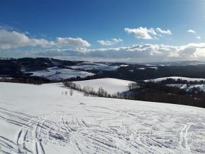 Prodej pozemku, Zlatá Olešnice, 1101 m2