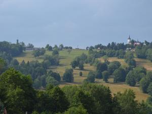 Prodej pozemku, Zlatá Olešnice, 1101 m2