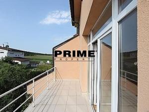 Pronájem rodinného domu, Praha - Nebušice, Na závěji, 250 m2