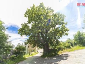 Prodej rodinného domu, Vyklantice - Staré Vyklantice, 164 m2