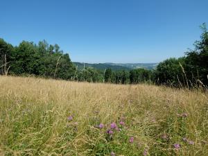 Prodej louky, Vyškovec, 4953 m2