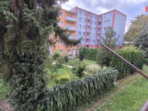 Prodej bytu 4+kk, Litoměřice - Předměstí, Družstevní, 65 m2