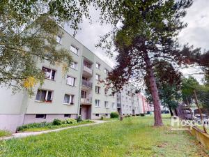 Prodej bytu 1+1, Ústí nad Labem - Neštěmice, Seifertova, 41 m2