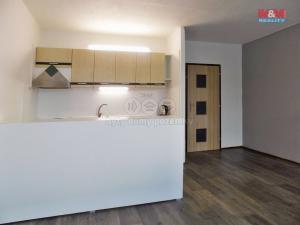 Pronájem bytu 1+kk, Ústí nad Labem - Krásné Březno, Obvodová, 32 m2