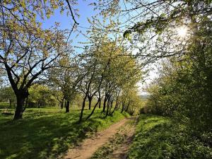 Prodej chaty, Roztoky, Na vyhlídce, 600 m2