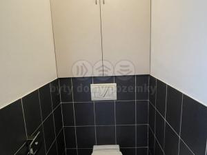 Pronájem bytu 2+kk, Louny, Přemyslovců, 52 m2