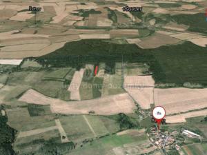 Prodej lesa, Řeřichy, 6619 m2