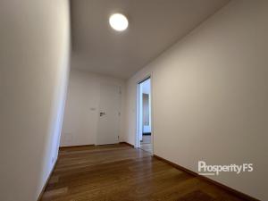 Pronájem bytu 4+kk, Brno - Trnitá, Placzkova, 158 m2