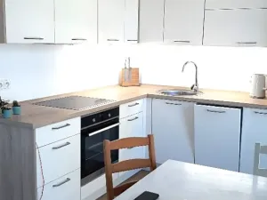 Pronájem bytu 1+kk, Liberec, U Nisy, 54 m2