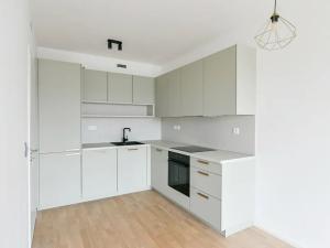 Prodej bytu 2+kk, Praha - Vinohrady, Perucká, 57 m2