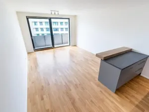 Prodej bytu 3+kk, Praha - Žižkov, Seifertova, 78 m2