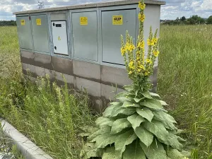 Prodej pozemku pro bydlení, Máslovice, Dolánecká, 823 m2