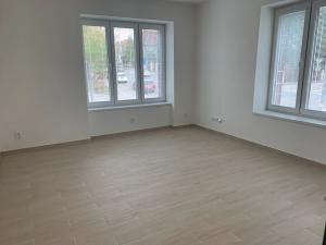 Pronájem bytu 2+kk, Praha - Vinohrady, Nad olšinami, 50 m2