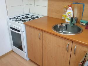 Prodej bytu 1+1, Novosedlice, Drahénská, 28 m2