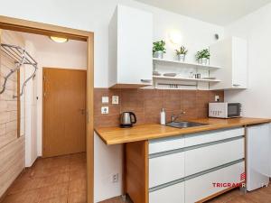 Prodej bytu 2+kk, Černý Důl, 42 m2