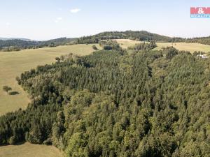 Prodej lesa, Valašská Senice, 8743 m2