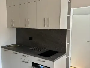 Pronájem bytu 1+1, Praha - Dejvice, Studentská, 30 m2