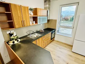 Pronájem bytu 2+kk, České Budějovice, Vrbenská, 69 m2