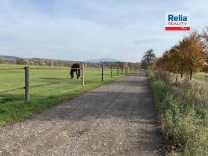 Prodej pozemku pro bydlení, Paceřice, 1000 m2