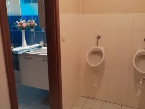 Pronájem výrobních prostor, Ostrožská Lhota, 570 m2