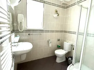 Prodej ubytování, Děpoltovice, 500 m2