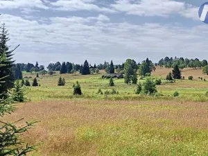 Prodej zemědělského objektu, Borová Lada, 120 m2