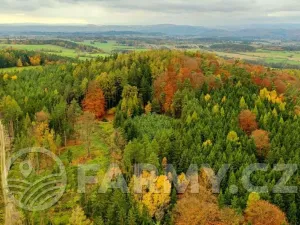 Prodej lesa, Krásná Hora nad Vltavou, 1087255 m2