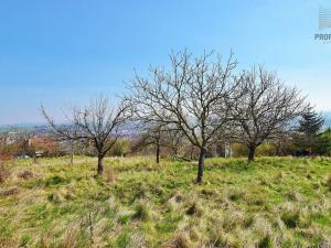 Prodej pozemku pro bydlení, Sivice, 3069 m2