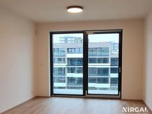 Pronájem bytu 1+kk, Praha - Žižkov, Jana Želivského, 25 m2