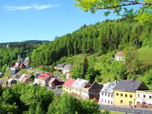 Prodej vícegeneračního domu, Jáchymov, tř. Čs. armády, 380 m2