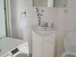 Pronájem atypického bytu, Hroznová Lhota, 30 m2