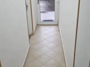 Pronájem bytu 1+kk, Brno, Šmejkalova, 37 m2