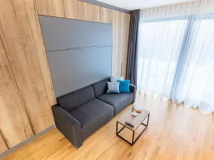 Pronájem bytu 1+kk, Praha - Žižkov, Seifertova, 30 m2