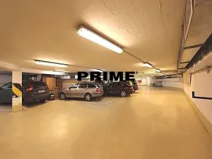 Pronájem bytu 6+kk a větší, Praha - Vinohrady, Ibsenova, 256 m2