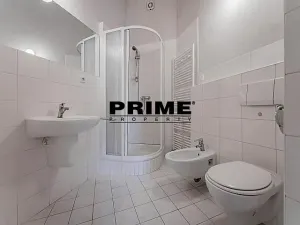 Pronájem bytu 4+1, Praha - Staré Město, Martinská, 180 m2