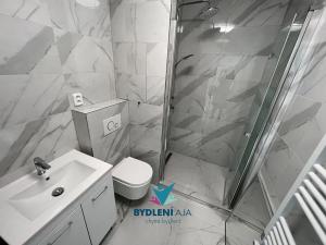 Prodej bytu 1+1, Bílina, Sídliště Za Chlumem, 36 m2