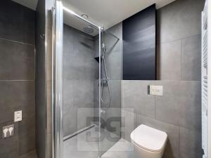 Pronájem bytu 1+kk, Praha - Michle, Hodonínská, 32 m2