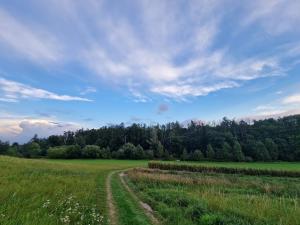 Prodej pozemku pro bydlení, Vyšehořovice, 957 m2